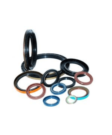 O Ring & Oil Seal